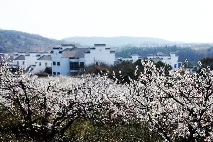 《陈丽芝傅海生》1976年,军区大院