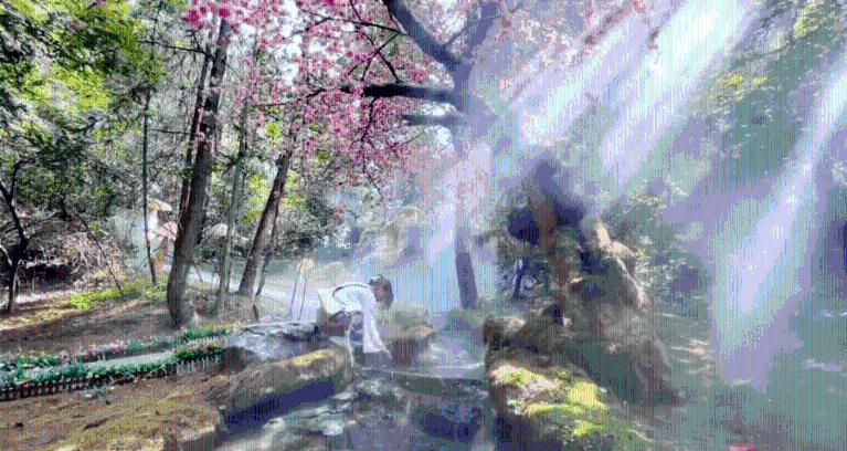 鸣人传